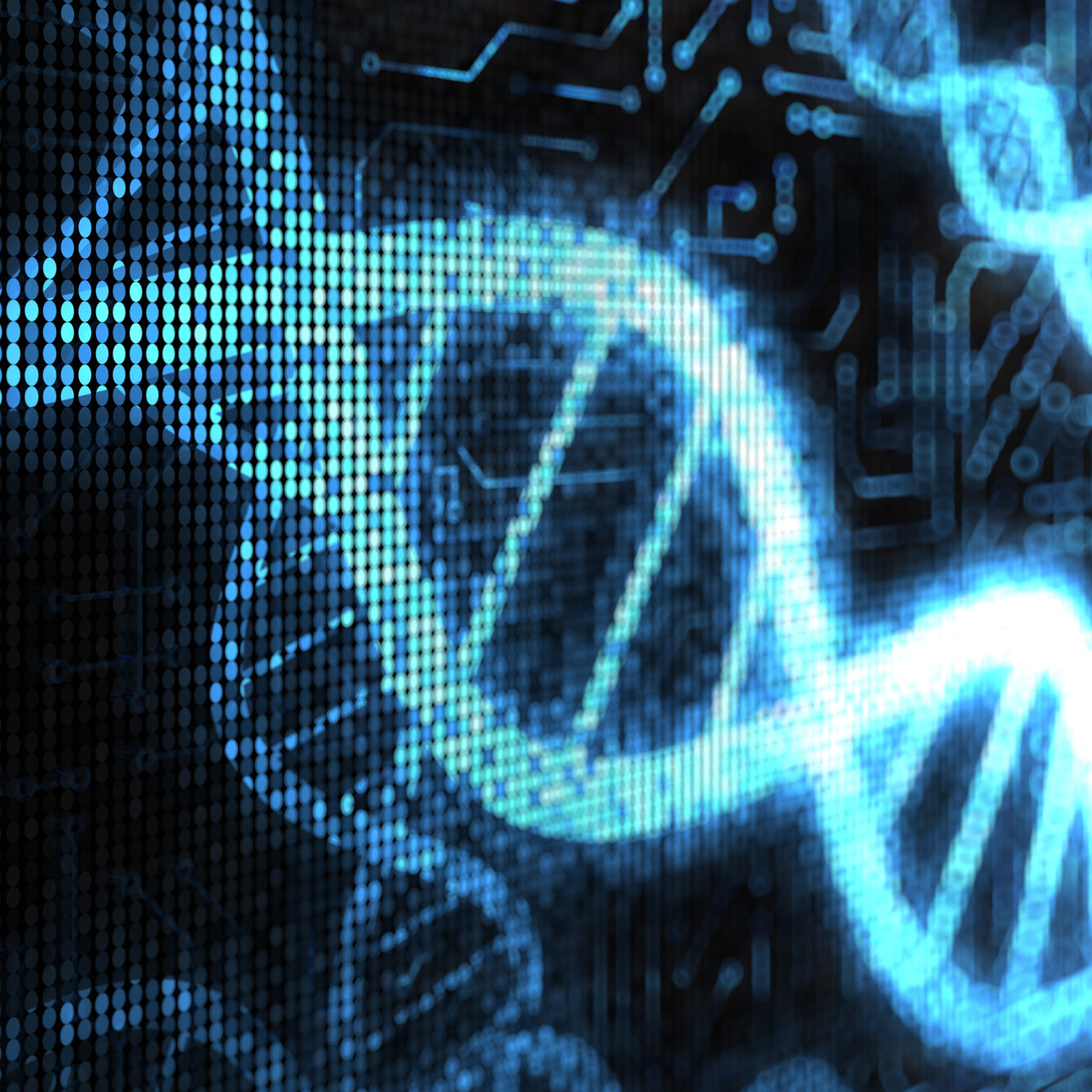 DNA Strands